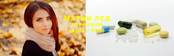 ешки Алексин