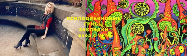 spice Алексеевка