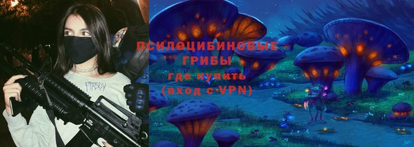 ешки Алексин